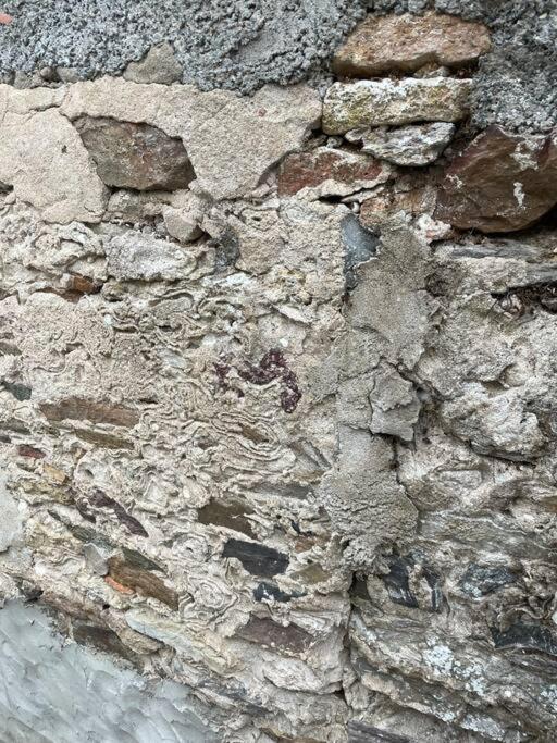 Maisonnette De Pecheur L'Aubraie Dış mekan fotoğraf